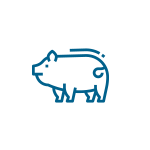 icoonpork